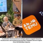 Kehadiran Aplikasi TEMU Buatan Cina Ancaman Buat UMKM RI